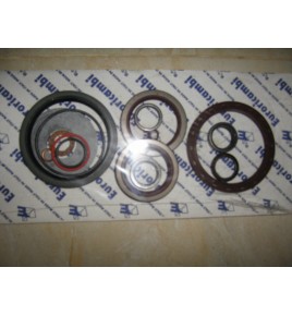 serie paraoli/anelli di tenuta cambio zf 1250298907  iveco 8124614