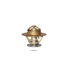 valvola termostatica lema iveco 450079