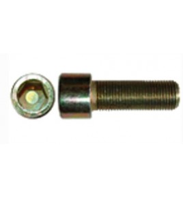 vite testa tonda inserto esagonale 10x1,25x20 iveco 14307330
