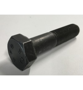 vite testa esagonale 12x1,25x55 iveco 16240430