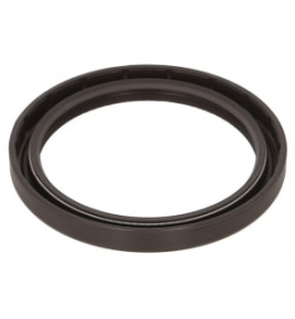 paraolio cambio 80x100x10 voith 50853413