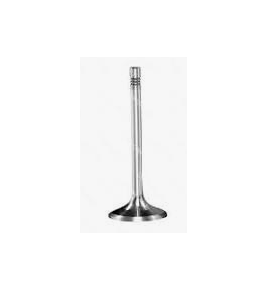 valvola scarico fuer evb man 51041010479