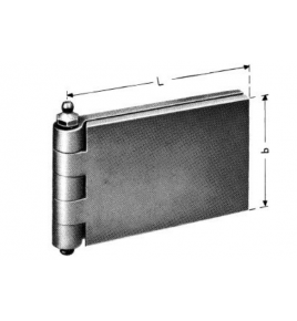 cerniera per porta acciaio, perno cerniera ingrassatore 60x100 happich 6010091