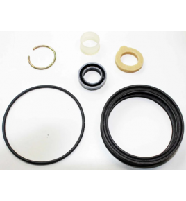 kit revisione cilindro porta wabco 42281000020 iveco 42491927