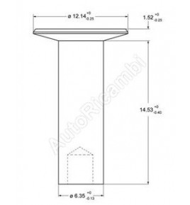 ribattino/rivetto fissaggio ganasce 6,3x17,5 iveco 1908616 42014895