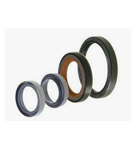 kit guarnizioni cambio zf 1290298920 iveco 93161137
