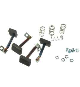 spazzole motorino avviamento scania 313267 fiat 79033660 99598140