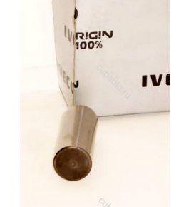spinotto/perno crocera pignone differenziale daily iveco 7162606 503641875