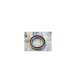 cuscinetto albero sterzo intermedio eurocargo tector eutrakker cursor iveco 4715674