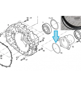 anello/o ring mozzo posteriore iveco 93163222