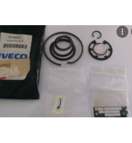 kit pompa servosterzo iveco 8124025