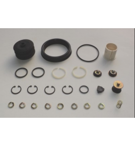 kit revisione servofrizione wabco 4620120022 iveco 8124285 42492909 man 81307256017