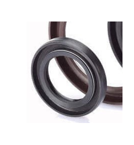 paraolio 22x40x0,6 iveco 224006