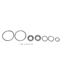 kit revisione pompa servosterzo iveco 8281576