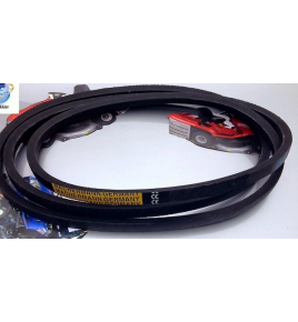 cinghie coppia B47 17x1269 la  iveco 4648519