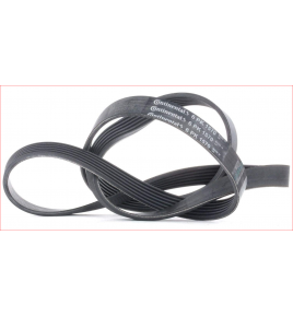 cinghia poly-v 6pk1570 continental cinghia6pk1570 iveco 504032642 mercedes a6659970292 cummins 3102145