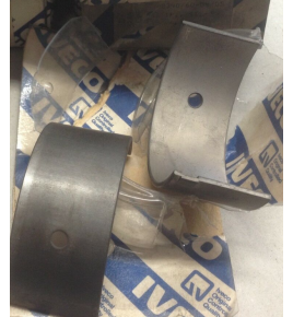 coppie bronzine 0,254- 0,25mm iveco 1901620