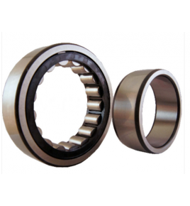 cuscinetto a rulli cilindrici 35x72x23 skf nu2207 ecp