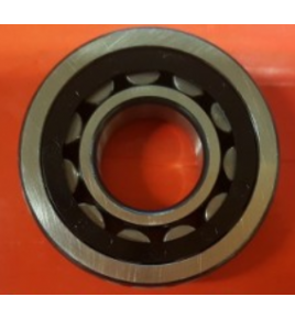 Cuscinetto a rulli cilindrici 35x80x21 rgs 3307