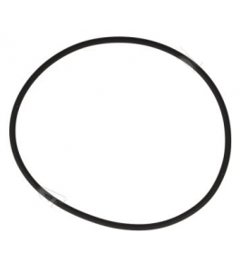 Guarnizione/o ring pompa acqua Cursor 8, 9 Euro 6, cityclass iveco 17291781
