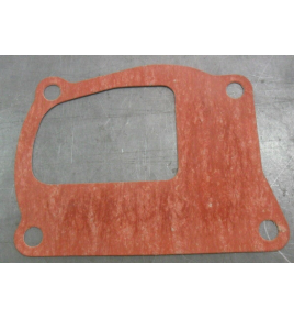 guarnizione pompa acqua iveco 4599561