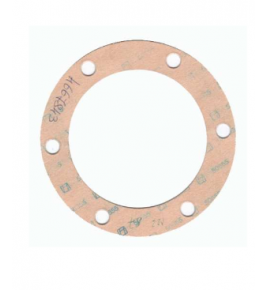 guarnizione coppa mozzo ruota anteriore iveco 4667843