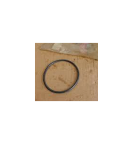 anello/o ring coperchio cambio iveco 4606956