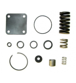kit revisione gruppo valvola regolazione aria ac135 ayz iveco 8124812