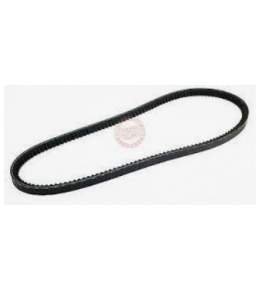 kit cinghie dentate (coppia) 10x978 iveco 2991701 4624733 4688859 483709