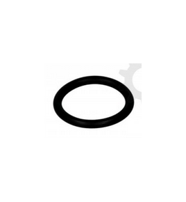 anello/o ring cambio iveco 42493260