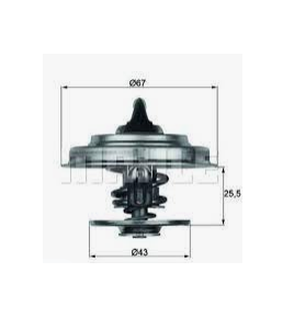 valvola termostatica 82° iveco 4831780