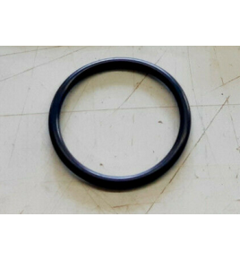 anello per ingranaggio distribuzione iveco 14464082