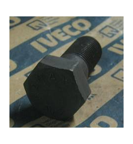 vite calibrata cambio iveco 42493278