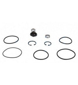 serie guarnizioni per valvola riduttrice di pressione iveco 2968775 9985240, 4300760