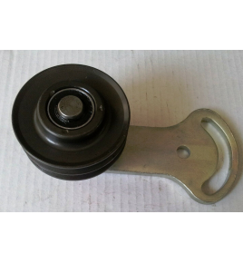tendicinghia motore iveco 4616156