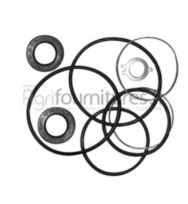 kit pompa servosterzo iveco 42481597 82982574