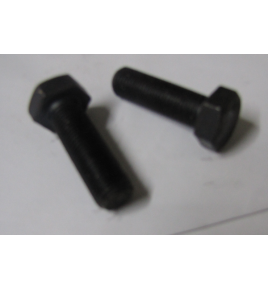 vite a testa esagonale differenziale M14x50x1,5 iveco 1111669