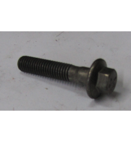 vite collettore scarico testa esagonale con battita 8x40 iveco 98488122