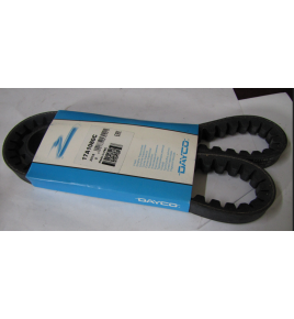 cinghia dayco dentata 17a1080c iveco 300103