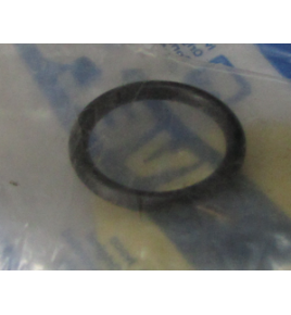 oring/anello 16x22x0,2 iveco 4899035