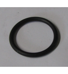 anello/o ring ganasce 315 iveco 9921062 2969032 130577