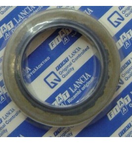paraolio ruota posteriore ducato fiat 5996256