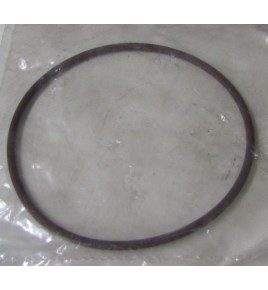 o ring/anello pompa acqua dayli dm 100 corda 3 iveco 17291281