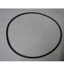 anello/o ring pompa acqua sp 2mm dm 120 iveco 14461680