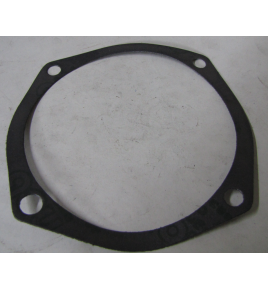 guarnizione piana motore 570 iveco 4708419