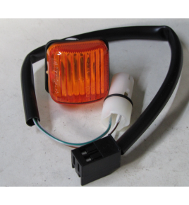 indicatore di direzione laterale iveco 8010001975
