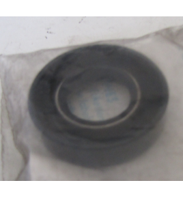 paraolio valvola porta bosch 1480281003