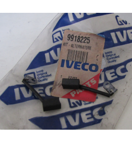 spazzole/ carboncini revisione alternatore iveco 9918225