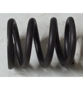 molla per regolatore pompa iniezione bosch 1424634027  iveco 770444 772902 4935670