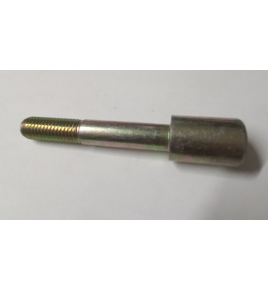 perno centrale balestra anteriore iveco 4829565